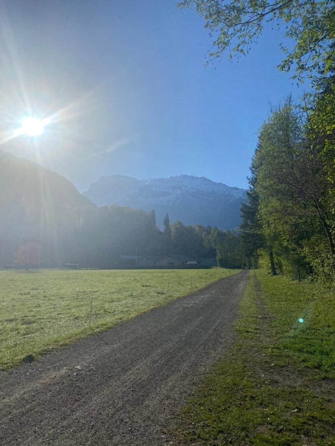 Appartement Rez-De-Chaussee, Cosy T3 4 A 6 Pers Avec Piscines Interieure & Exterieure A Samoens En Haute-Savoie Esterno foto